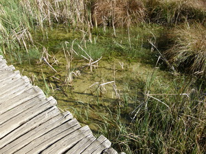 Plitvice Lakes