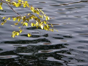 Plitvice Lakes