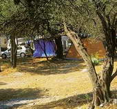 Croatia AutoCamp Jurjevac