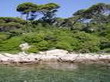 Lokrum-Island_Lokrum