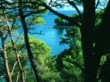 Mali_Losinj_Losinj